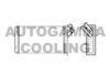 AUTOGAMMA 103117 Heat Exchanger, interior heating